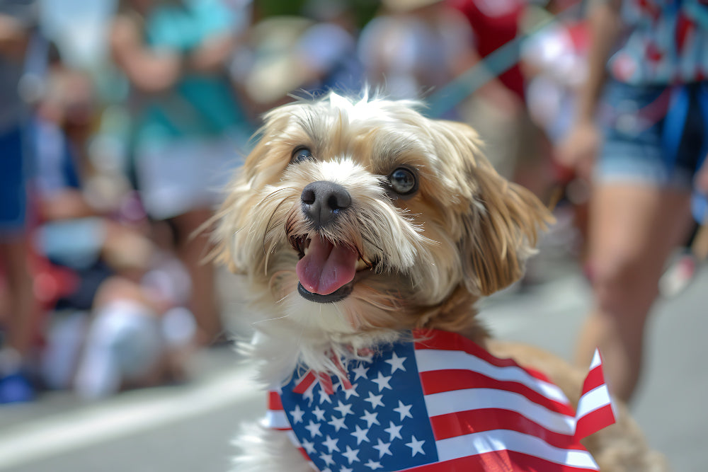 Is Your Pet Ready for the Fourth? Read Our Safety Guide Now!